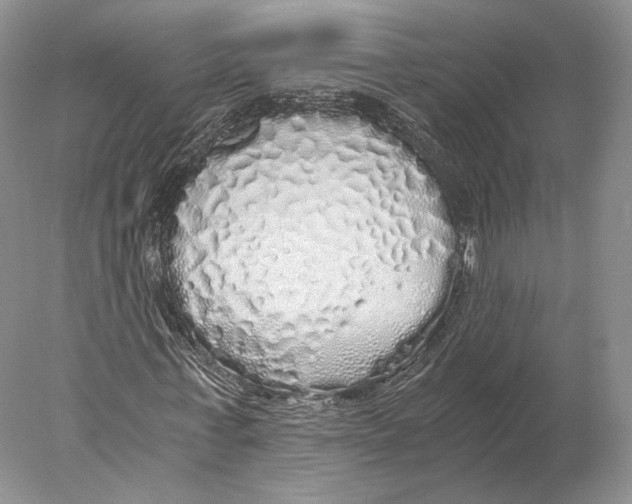 X0000077990771200611251410