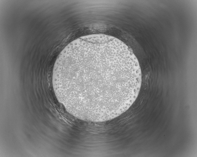 X0000077990772200611251410