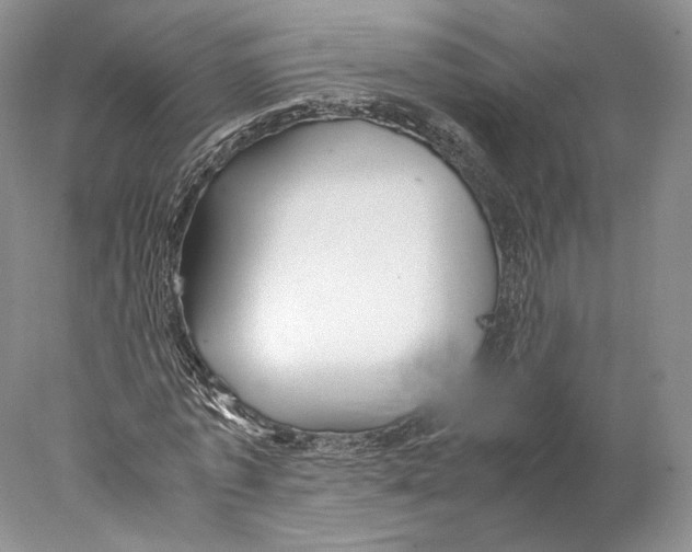X0000077990773200611251410