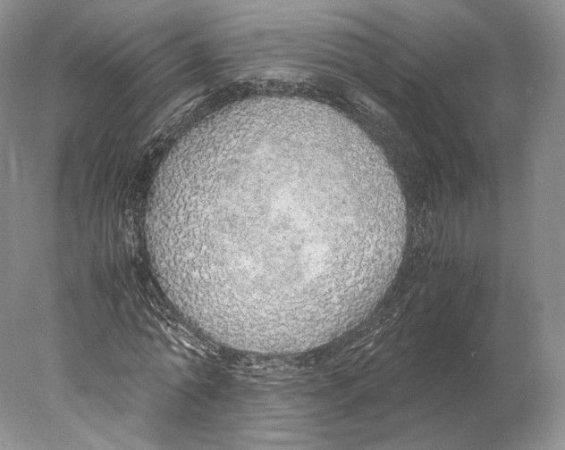 X0000077990774200611251410