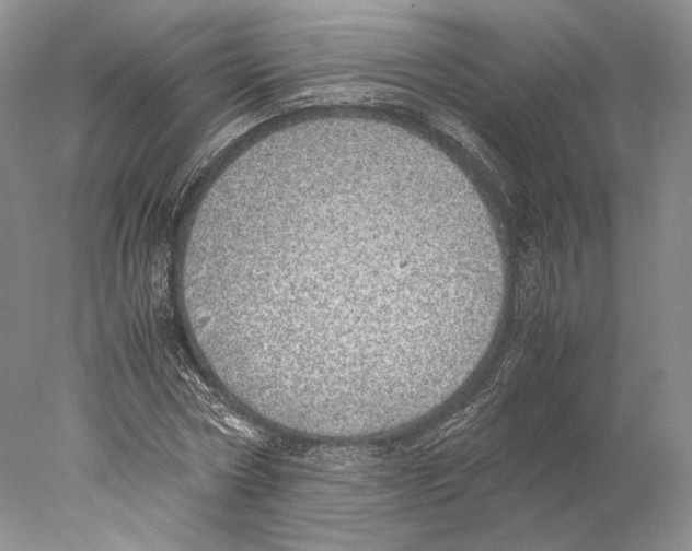 X0000077990778200611251410