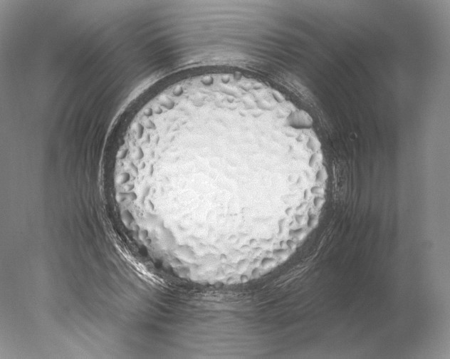 X0000077990780200611251410