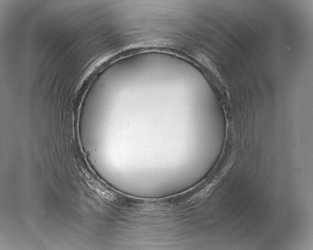 X0000077990781200611251410