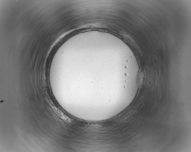 X0000077990784200611251410
