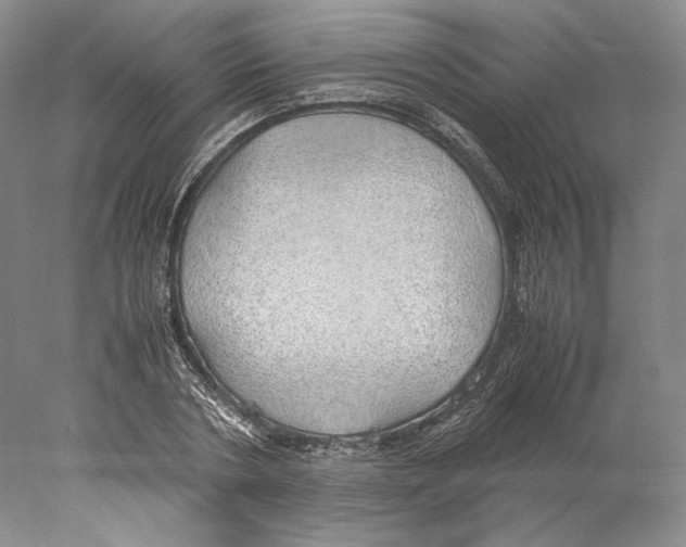 X0000077990786200611251410