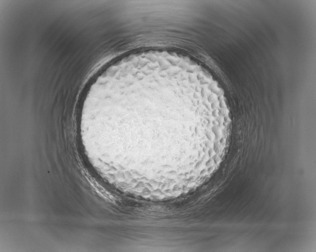 X0000077990787200611251410