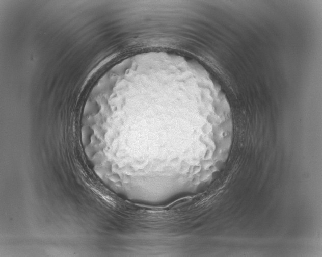 X0000077990790200611251410