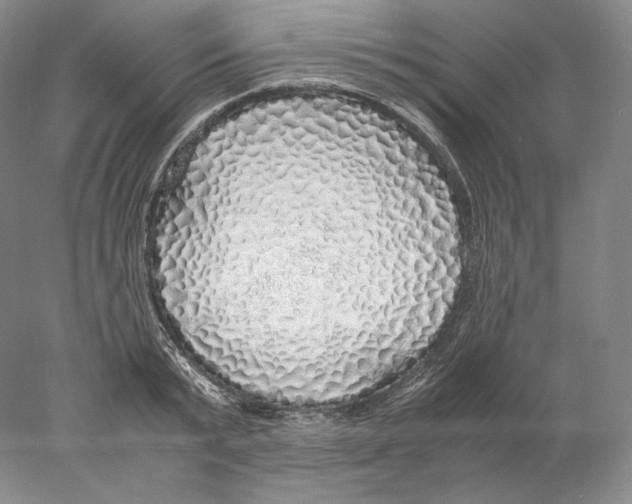 X0000077990799200611251410