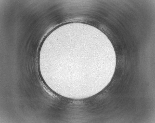 X0000077990800200611251410