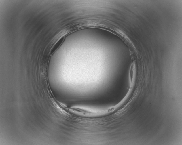 X0000077990801200611251410