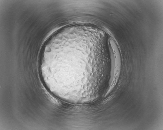 X0000077990803200611251410