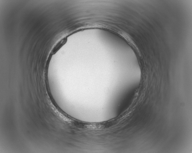 X0000077990805200611251410
