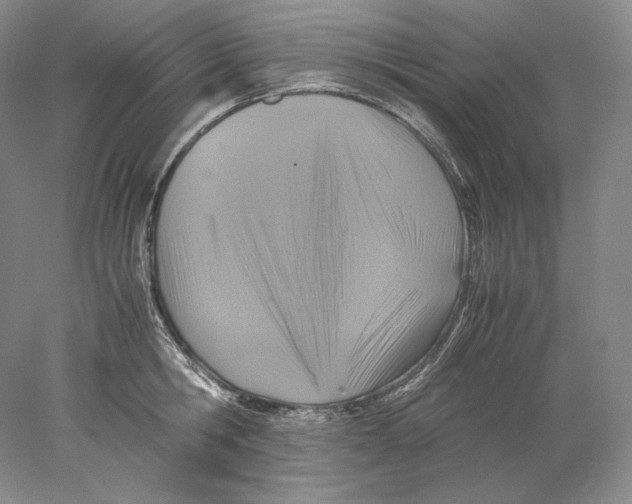 X0000077990806200611251410