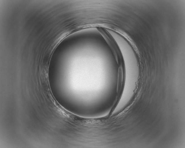 X0000077990809200611251410