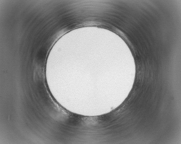X0000077990810200611251410