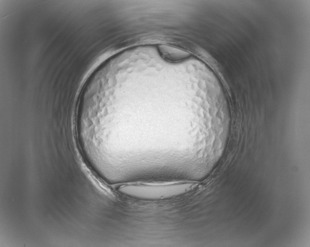 X0000077990811200611251410