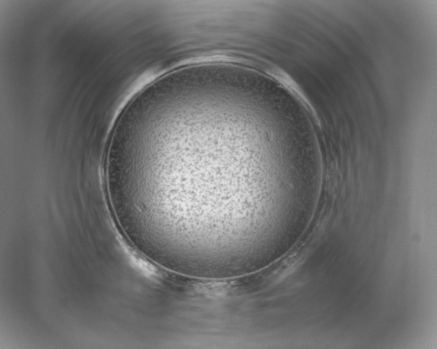 X0000077990813200611251410