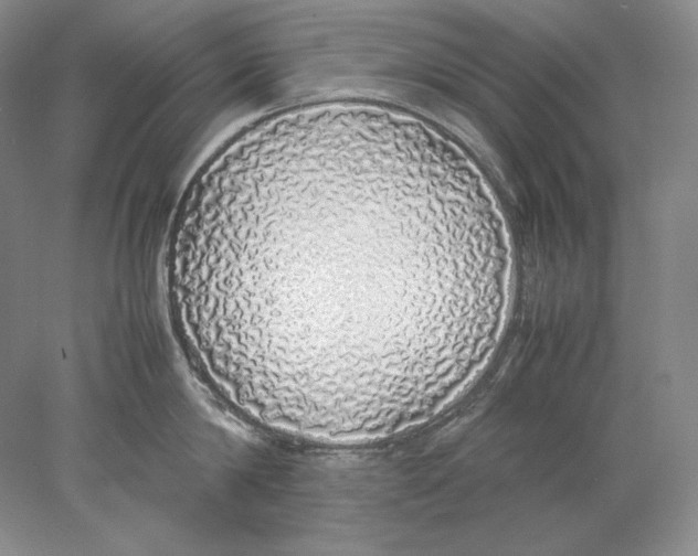 X0000077990814200611251410