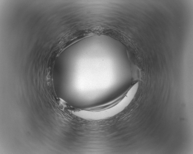 X0000077990818200611251409
