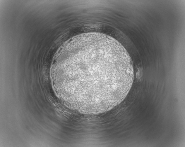 X0000077990819200611251409