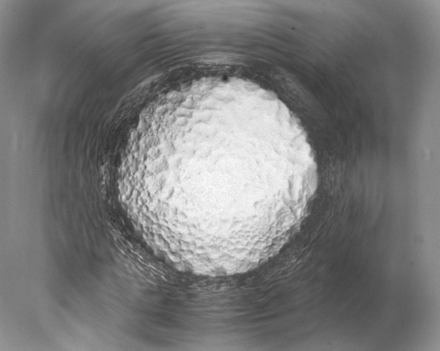 X0000077990821200611251409