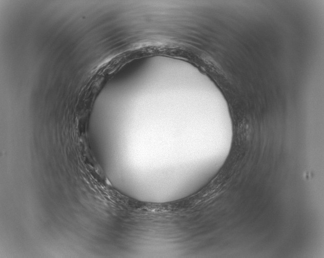 X0000077990822200611251409