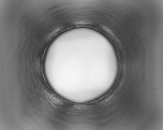 X0000077990825200611251409