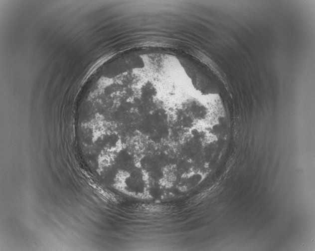 X0000077990829200611251409