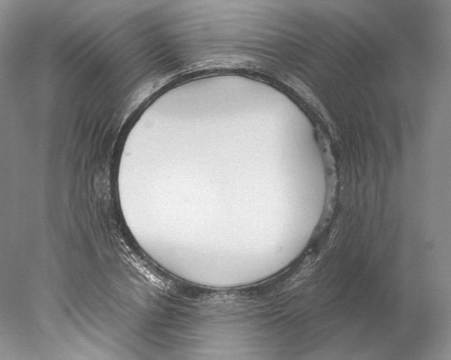 X0000077990834200611251409
