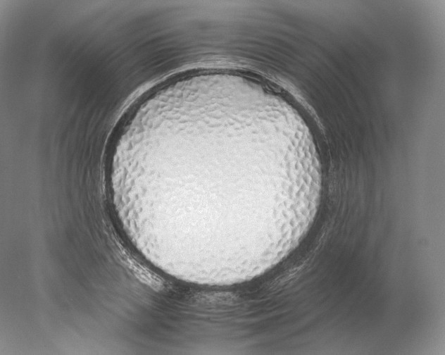 X0000077990837200611251409
