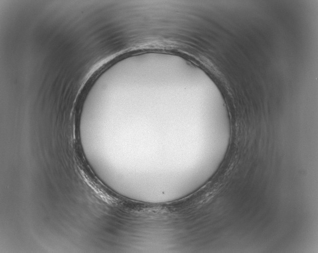 X0000077990838200611251409