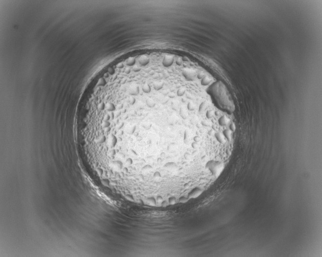X0000077990839200611251409