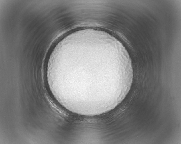 X0000077990840200611251409