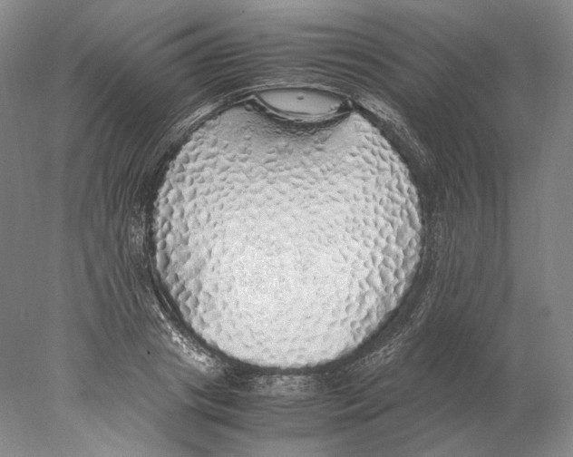 X0000077990841200611251409