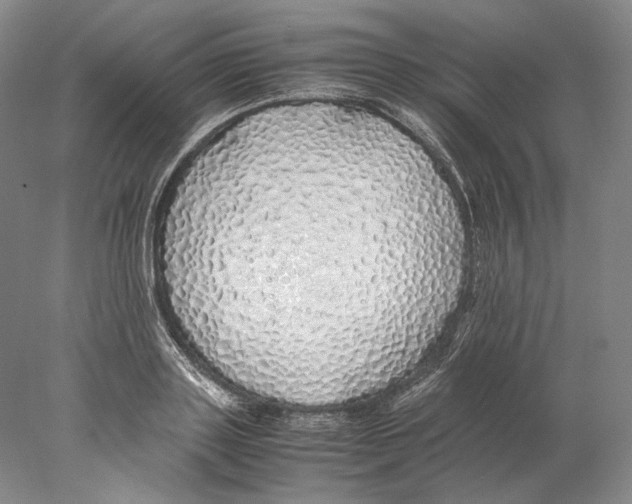 X0000077990843200611251409