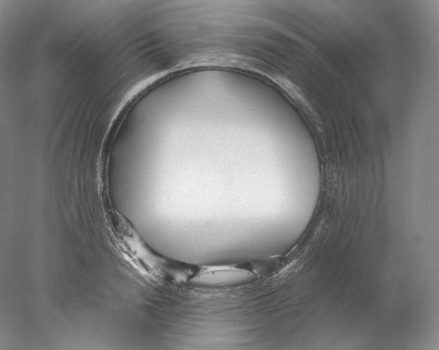 X0000077990846200611251409