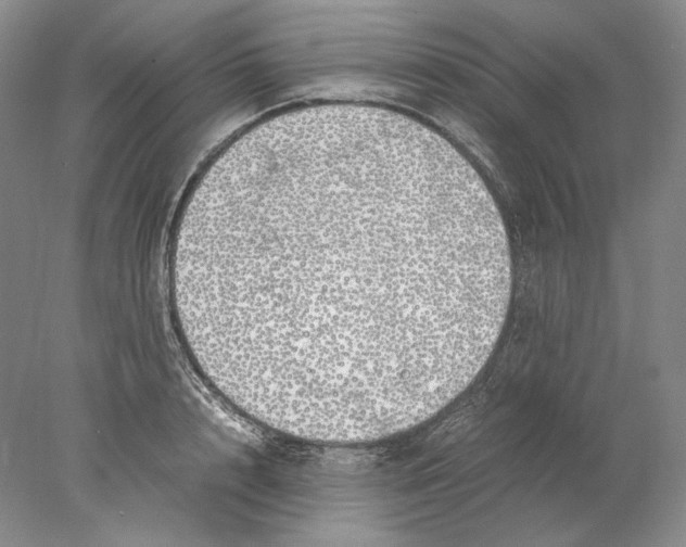 X0000077990848200611251409