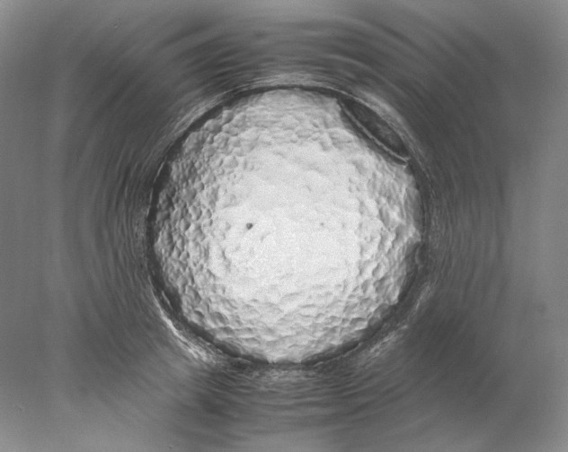 X0000077990849200611251409