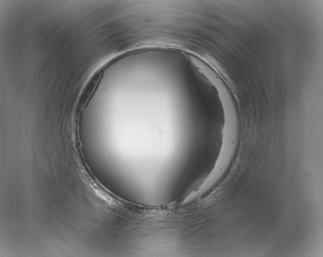 X0000077990854200611251409