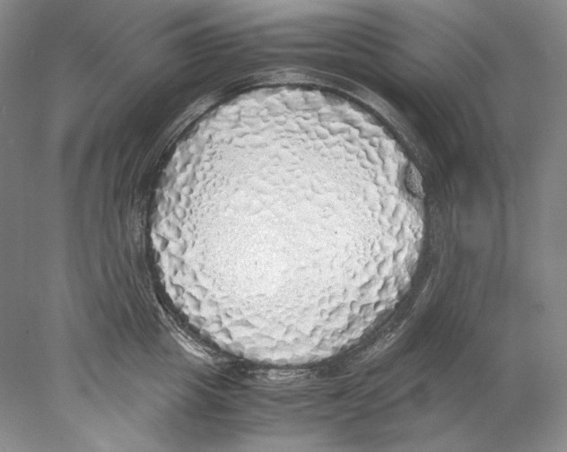 X0000077990857200611251409