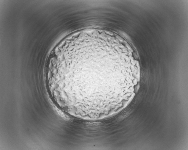 X0000077990859200611251409