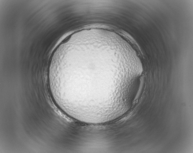 X0000077990860200611251409