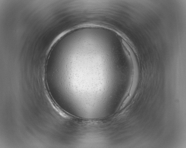 X0000077990862200611251409