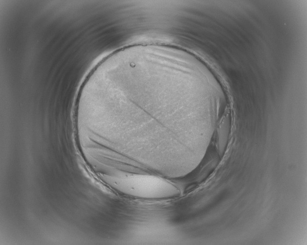 X0000077990864200611251409