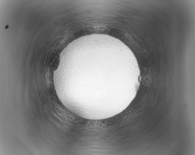 X0000077990866200611251409