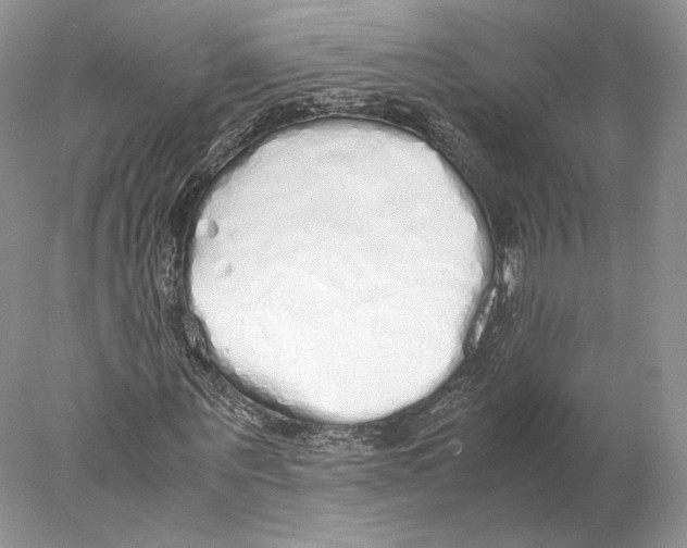 X0000077990867200611251409