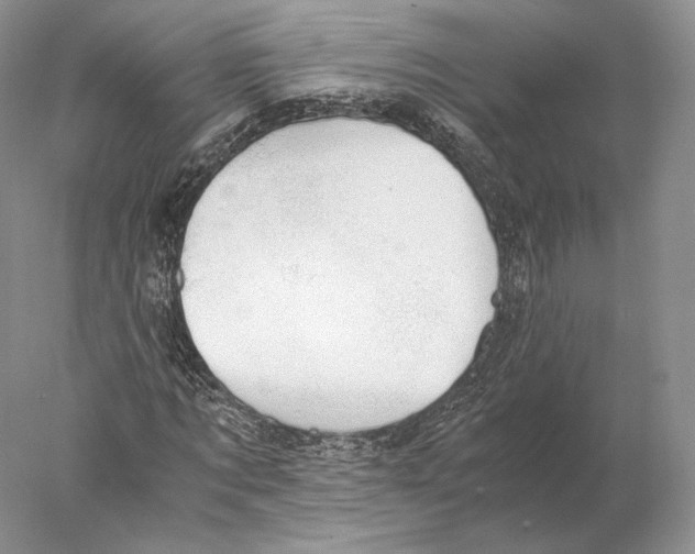 X0000077990869200611251409