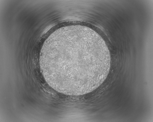 X0000077990871200611251409