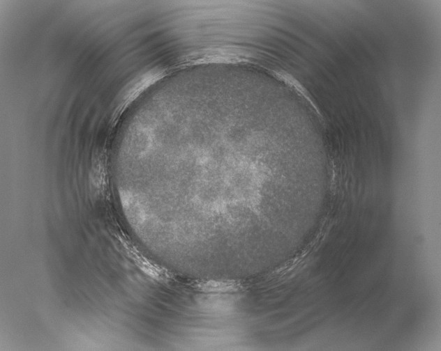 X0000077990874200611251409