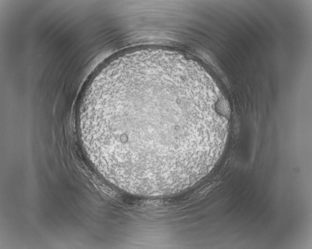 X0000077990883200611251408